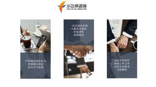2021巴中投标书制作公司,专注做标书 小飞侠价格低
