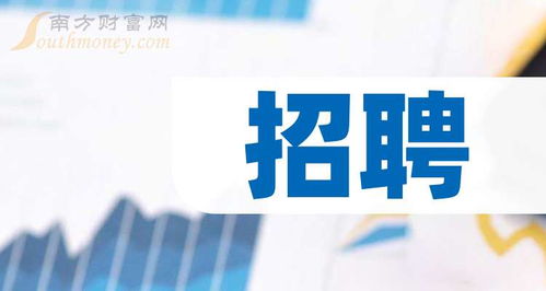 a股 招聘 受益概念股名单查询 2024 12 4