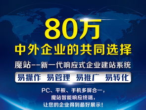 想找名声好的网络建站公司就选思拓科技 优质的网络建站