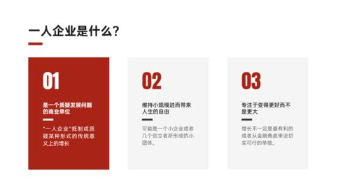 马蜂咨询品牌课程 一人企业 一个人也能赚钱的新商业模式