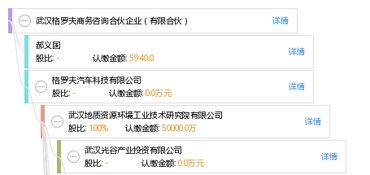 武汉格罗夫商务咨询合伙企业 有限合伙