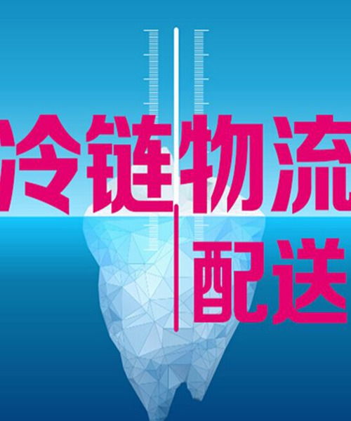 上海到天津冷藏物流公司 上海到天津冷链货运专线 秋果供