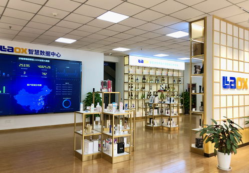 双轮驱动再出发 激活济南对外开放强引擎