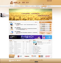 设计案例 沈阳网站设计,易势为您量身打造